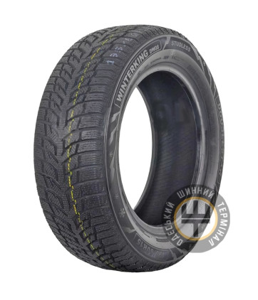 Doublestar WINTERKING DW08 165/65 R14 79T