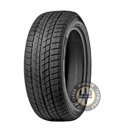 Nordexx WinterSafe X2 255/50 R20 109H XL FR