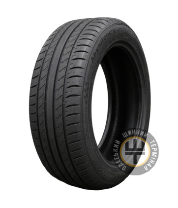 Double Coin Abysilency 225/55 R17 101W XL