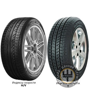 Cooper Weather-Master SA2+ 205/55 R16 91T