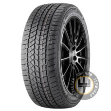 Doublestar WINTERKING DW02 245/55 R19 103T