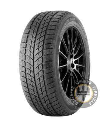 Doublestar WINTERKING DW09 235/50 R19 99H
